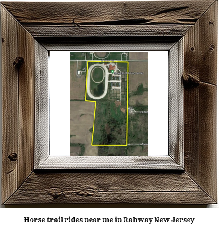 horse trail rides near me in Rahway, New Jersey